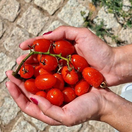 Horta Das Laranjas Serpa Eksteriør bilde