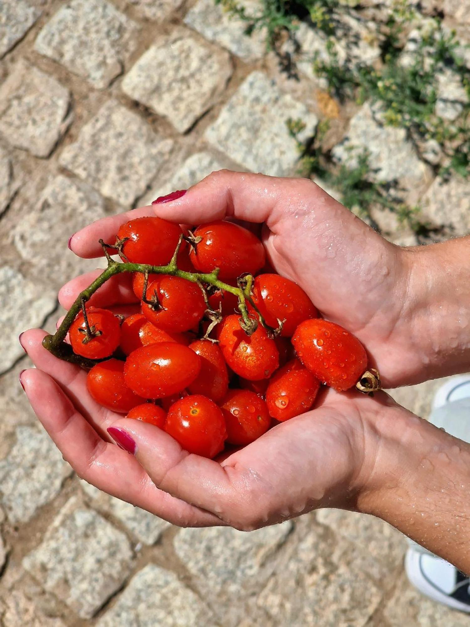Horta Das Laranjas Serpa Eksteriør bilde
